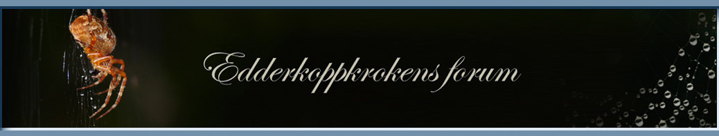 Edderkoppkrokens forum